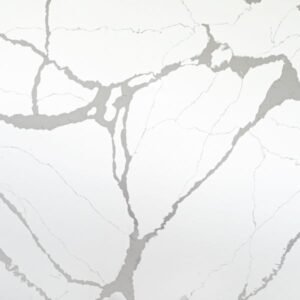 https://quartztrader.com/wp-content/uploads/2025/03/Bianco-Venato-CLF2001-300x300.jpg