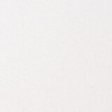 White Coral - Image 2