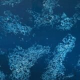 Blue Nila - Image 2