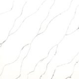 Tiger White - Image 2